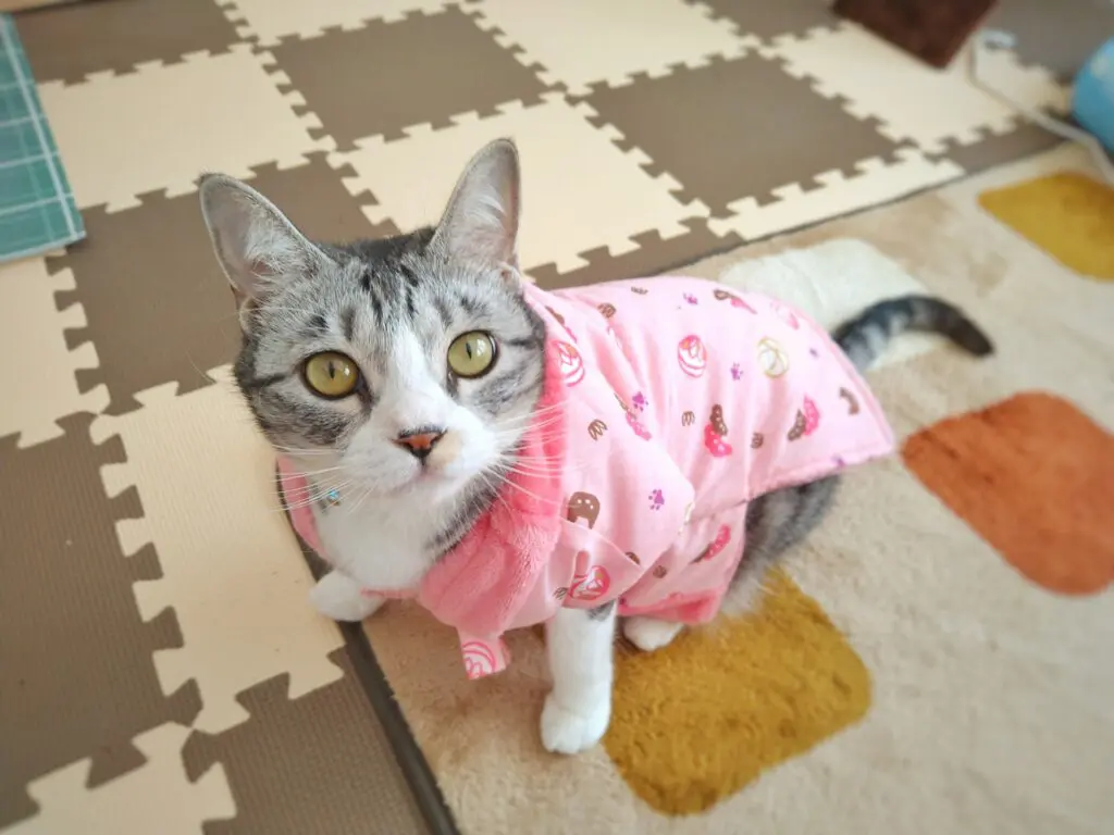 猫 オファー 服 を 着る と おとなしく なる