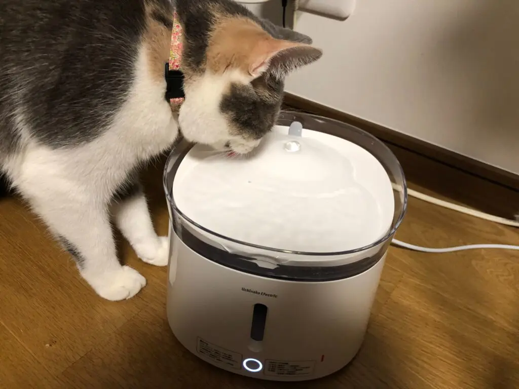 ペット給水器 コレクション 比較